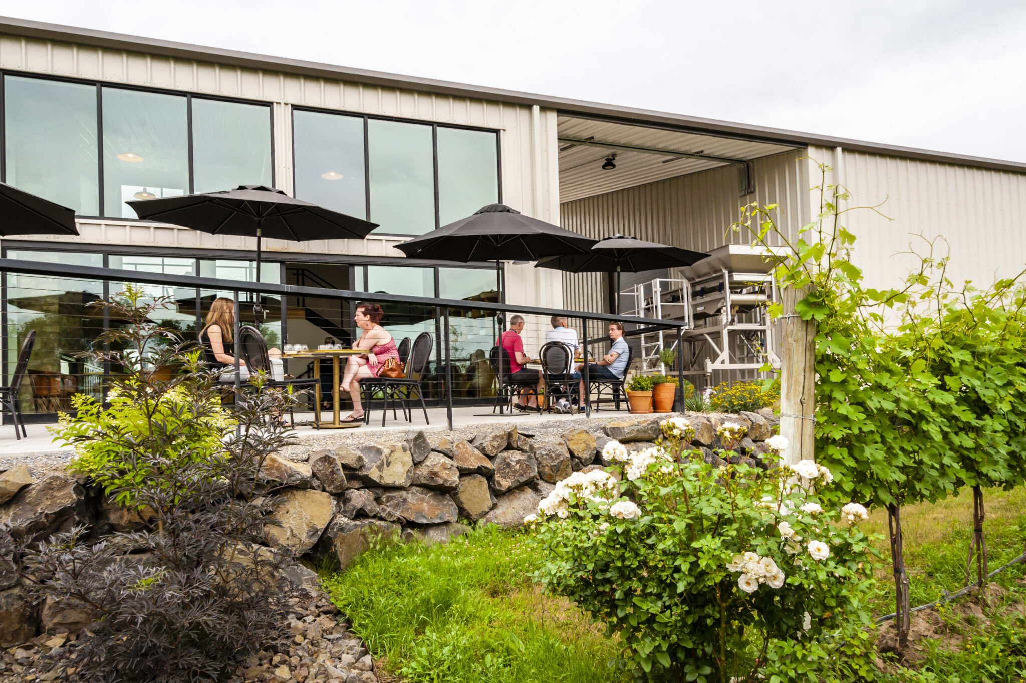 Walla Walla Valley Wine Month 12