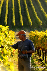Walla Walla Valley Wine Community Mourns Loss of Executive Director