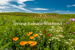 April marks kick-off to Wine Tasting Season in Walla Walla
