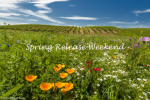 April marks kick-off to Wine Tasting Season in Walla Walla