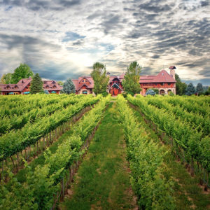 Basel Cellars 2