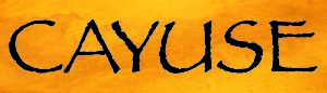 Cayuse Vineyards 2