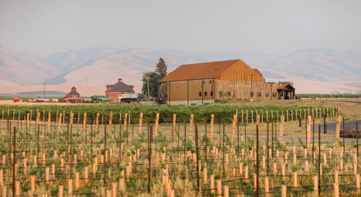 Pepper Bridge Winery 2