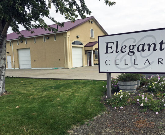 Eleganté Cellars 2