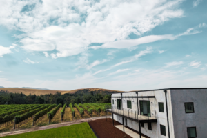 Walla Walla Vintners 3
