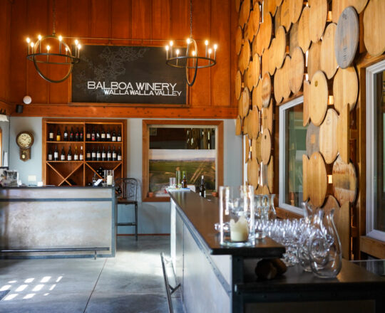 Balboa Winery 1