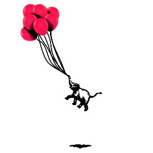 Elephant Seven