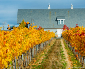 Holiday Barrel Tasting Weekend