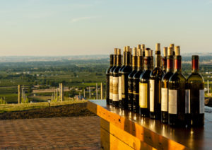 Bottles of wine atop a wine bar