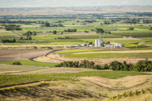 Wine Region 5