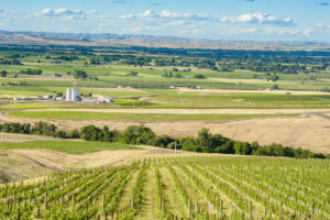 View of the Walla Walla Valley from Seven Hills Vineyard Site
