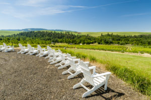 Adirondack chairs overlooking the Figgins Estate Vineyard