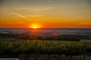 Sunset at Southwind Vineyards