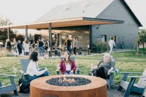 KINHAVEN Winery 1