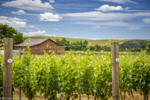A Day Up Mill Creek - Discovering the Eastside District 6