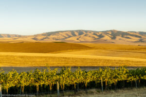 Great Wine & Rich History 4
