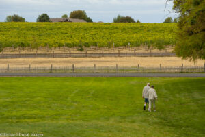 Family Friendly Wine Country 5