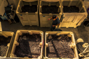From Rhône to Bordeaux in the Walla Walla Valley 2