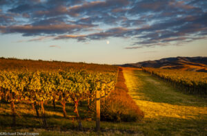 WWander Walla Walla Valley Rewind 17