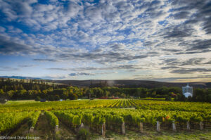 Best of WWander Walla Walla Valley Wine | Outdoor Activities