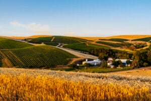 April 2021 is the 2nd Annual Walla Walla Valley Wine Month