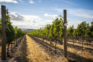 Walla Walla Valley Wine Announces New Leadership and Direction