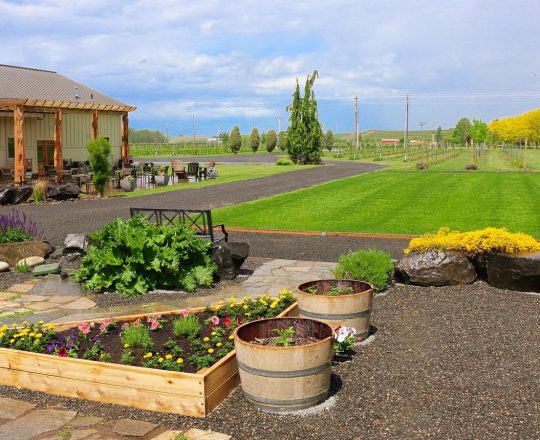 Saviah Cellars 1