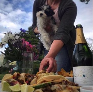 The Taco Tuesday Wine 2