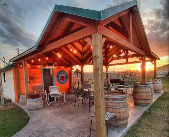 Los Rocosos Vineyards 1