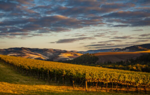 Wander Walla Walla Valley Wine 2