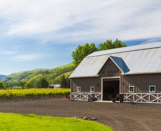 Mongata Estate Winery 4