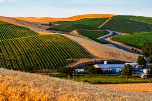 Walla Walla Valley Looks To Defend its Title as America’s Best Wine Region in the 2022 USA TODAY 10Best Readers’ Choice Awards