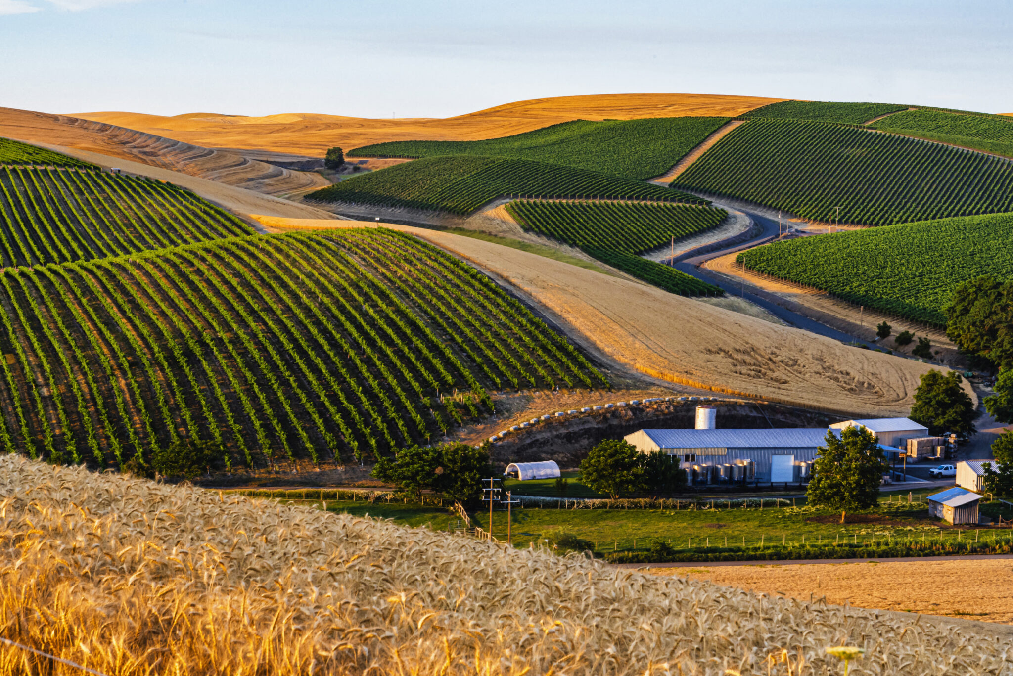 Walla Walla Valley Looks To Defend its Title as America’s Best Wine 