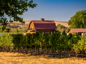 Walla Walla Valley Wine Month 29