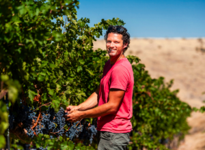 Wander Walla Walla Valley Wine 28