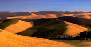 V is for Vino: Walla Walla