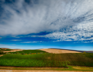 A Walla Walla Wine Country Guide by Wine Folly 2