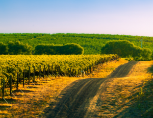 HistoryLink Interviews 4 Founders of the Walla Walla Valley 4