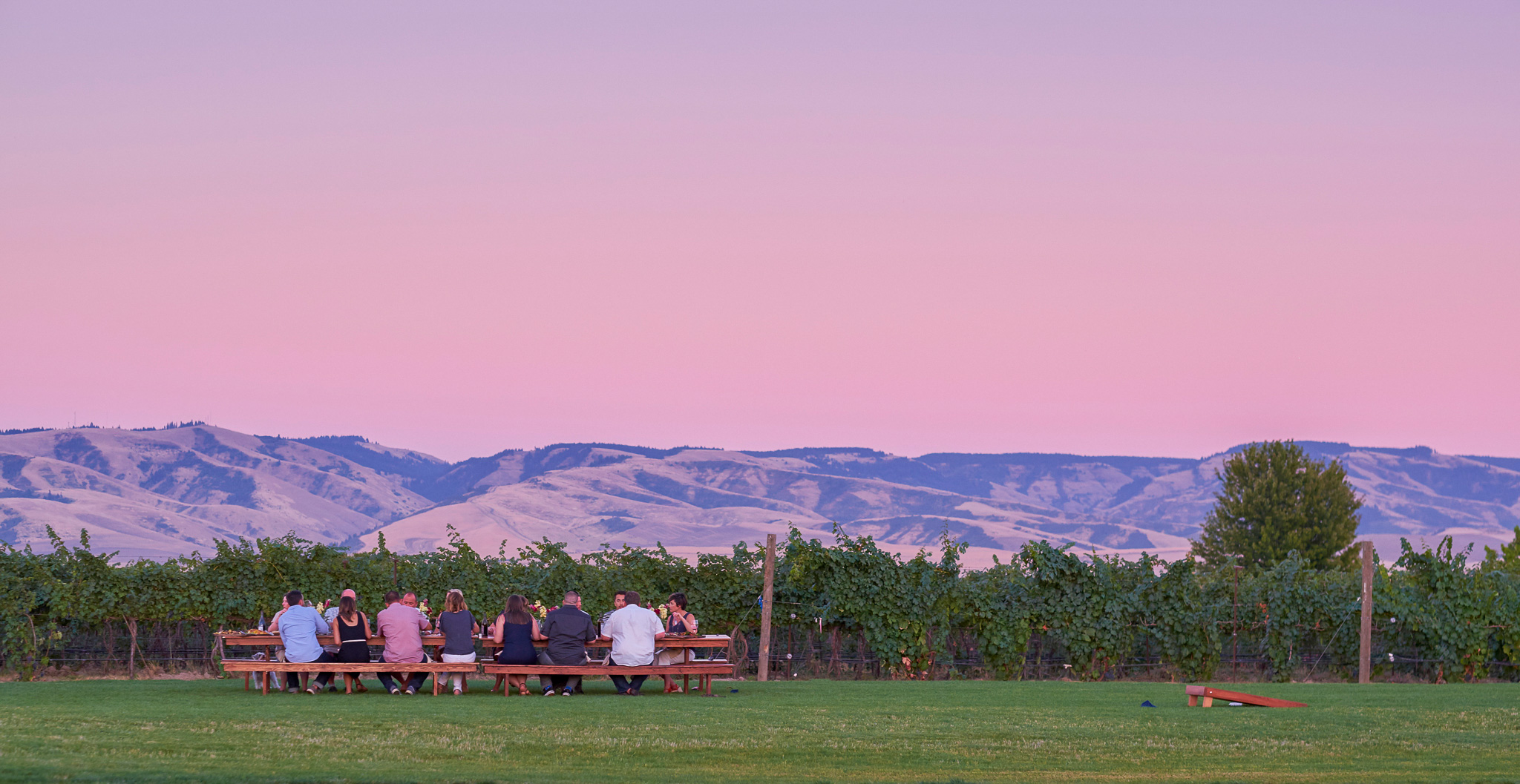 What makes 11 winemakers make wine • The Walla Walla Way