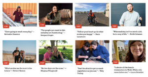 We graduated into wine: words from