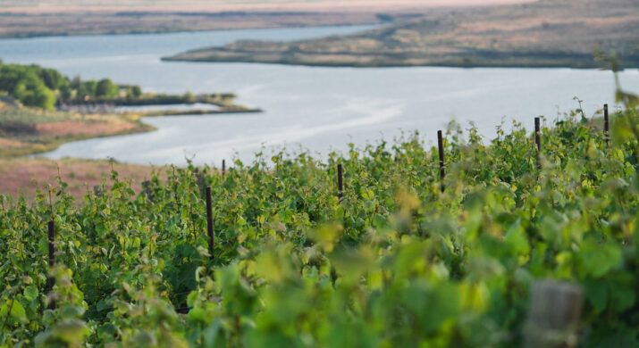 Mercer Wine Estates 2