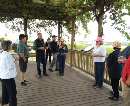 Wine Month Experiences 13