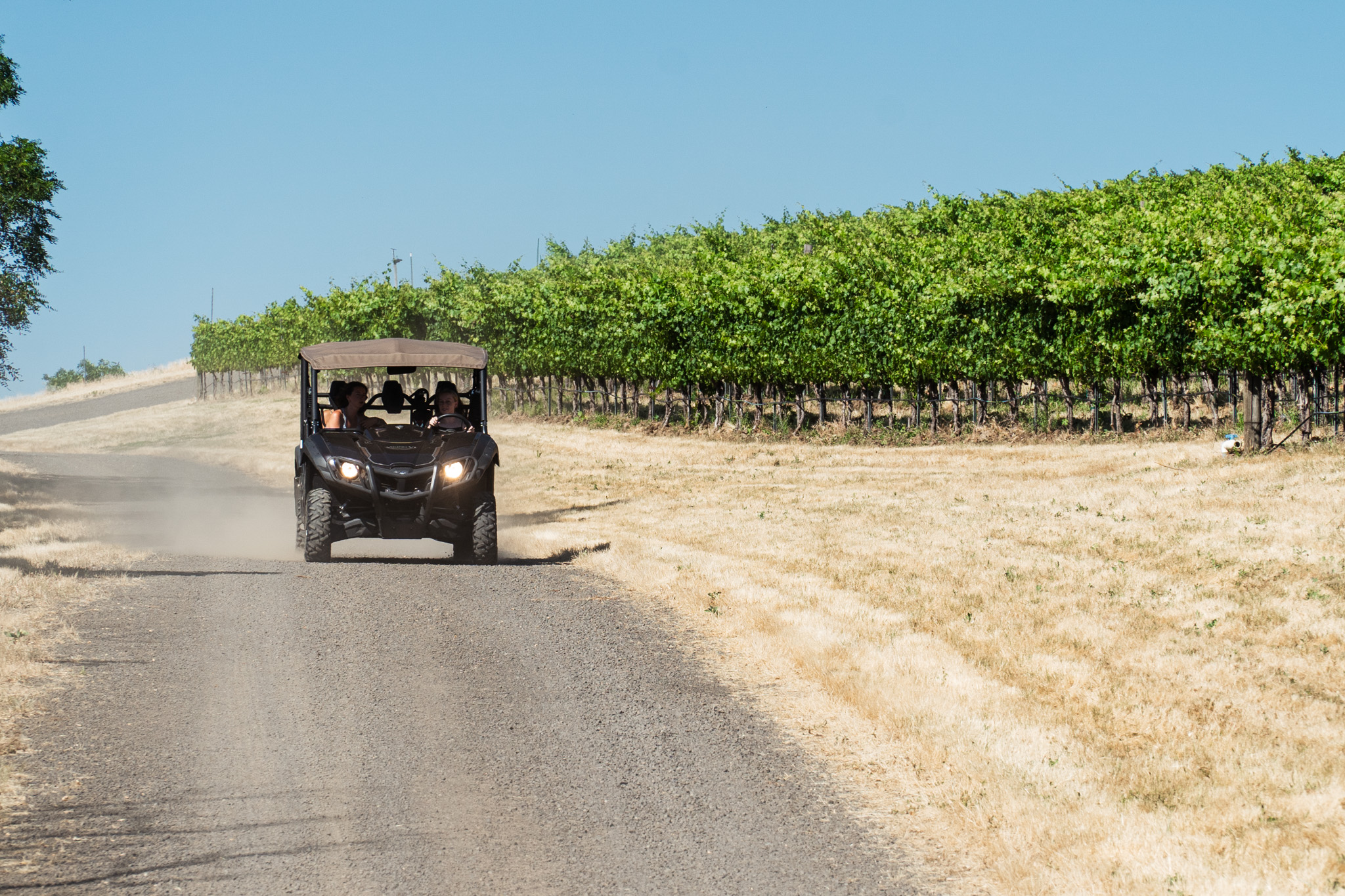 JWP01411 – Tranche Estates